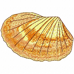 Seashell Embroidery Design 5 Seashell Embroidery Design 5